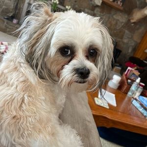 Meet your Posher, Miranda